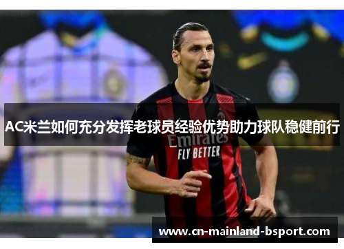 AC米兰如何充分发挥老球员经验优势助力球队稳健前行