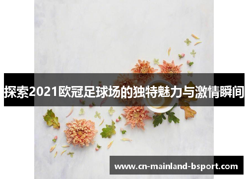 探索2021欧冠足球场的独特魅力与激情瞬间