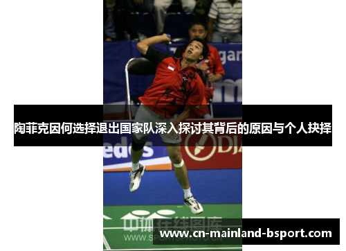 陶菲克因何选择退出国家队深入探讨其背后的原因与个人抉择