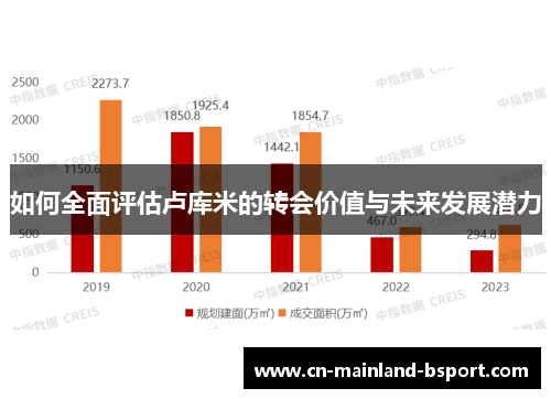 如何全面评估卢库米的转会价值与未来发展潜力