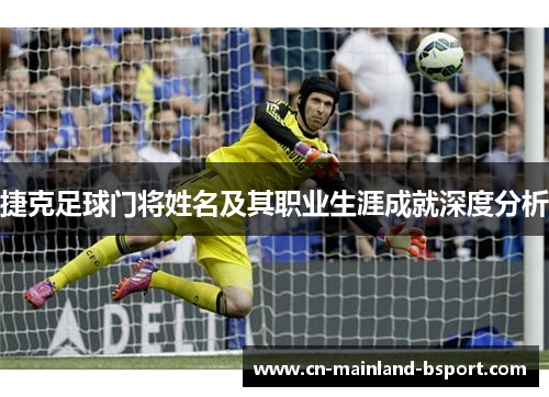 捷克足球门将姓名及其职业生涯成就深度分析