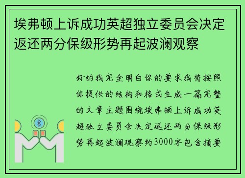埃弗顿上诉成功英超独立委员会决定返还两分保级形势再起波澜观察